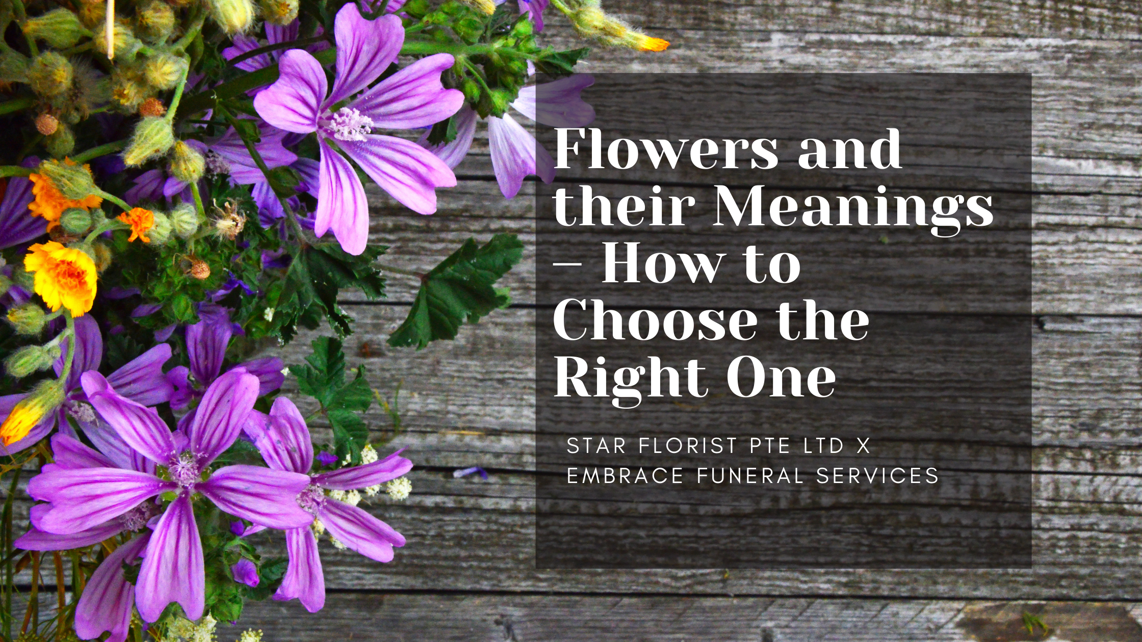 Flowers and their Meanings – How to Choose the Right One